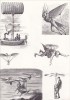 Transportation : A Pictorial Archive from Nineteenth-Century Sources