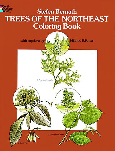 Trees of the Northeast Coloring Book