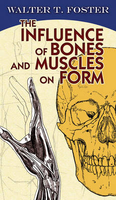 The Influence of Bones and Muscles on Form