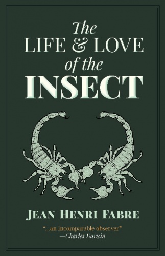 The Life and Love of the Insect